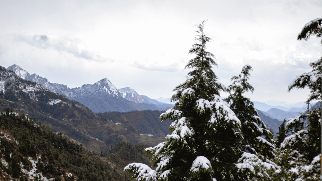 Book Dehradun to Dhanaulti taxi