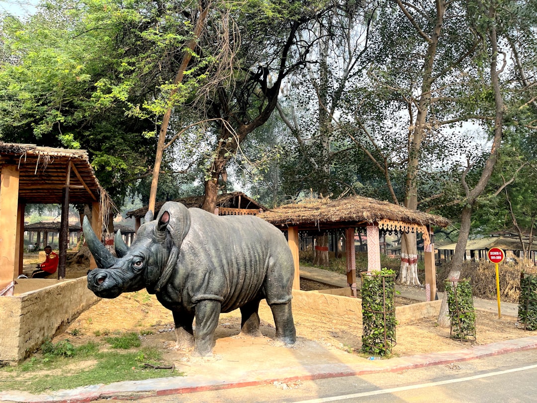 Dehradun to Faridabad Cabs