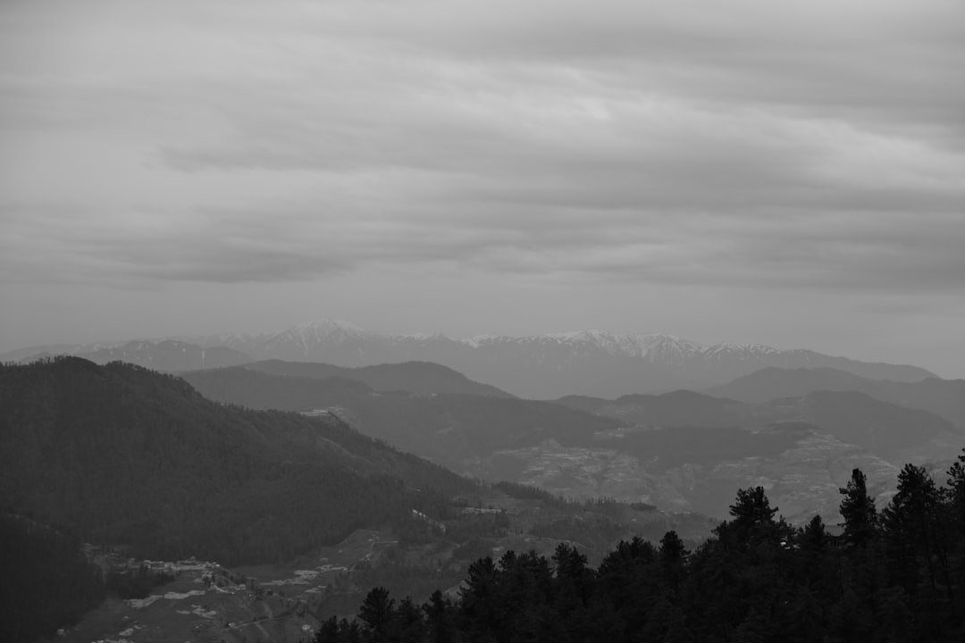 Dehradun to Shimla Cab
